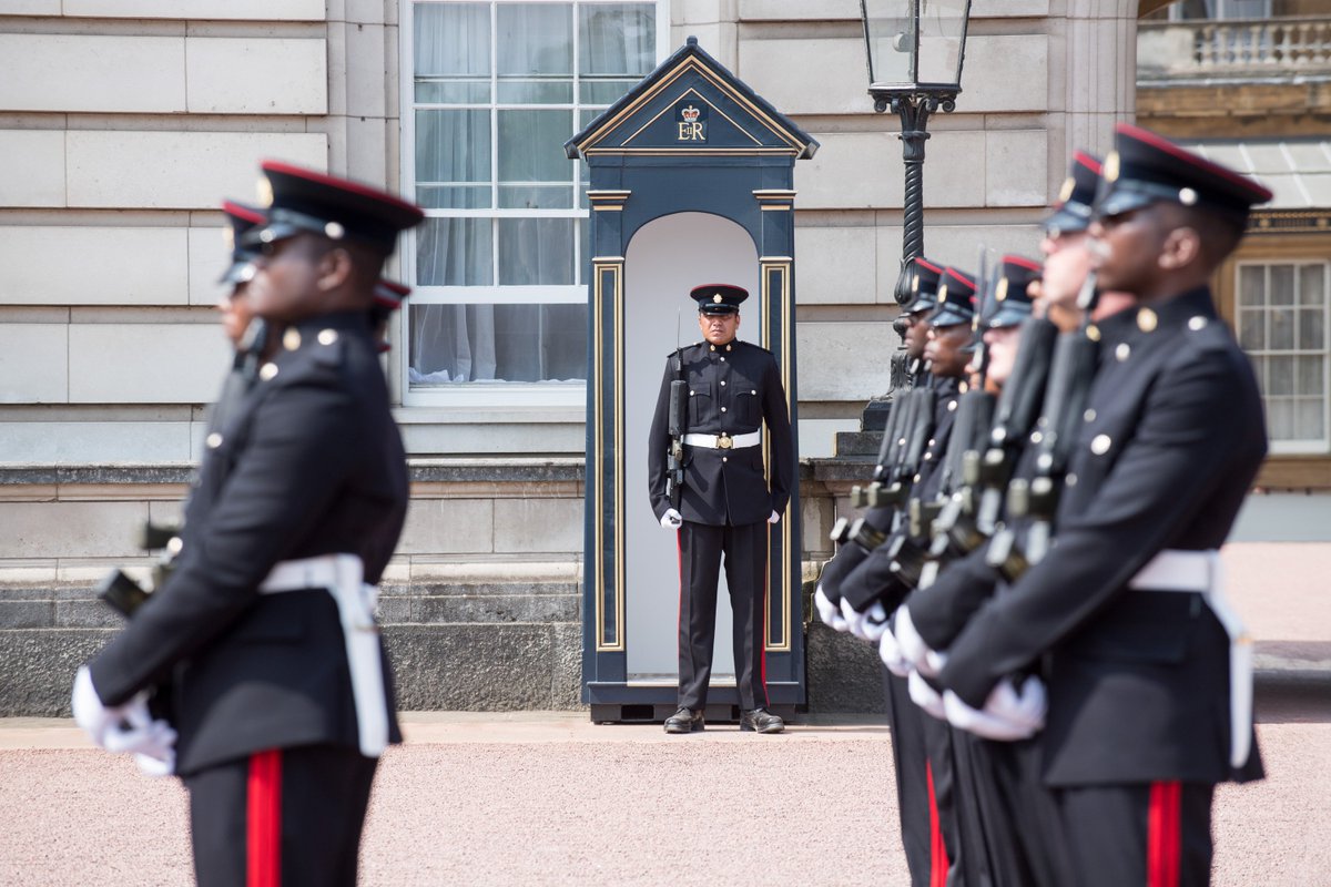 British Army 🇬🇧 tweet media