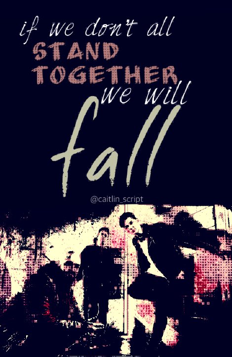 caitlin_TS's tweet image. - If we don’t all stand together we will fall - 
#TheScriptUnite 
#DividedStatesOfAmerica 
#TheScript #TheScriptFamily 
@thescript @TheScript_Danny