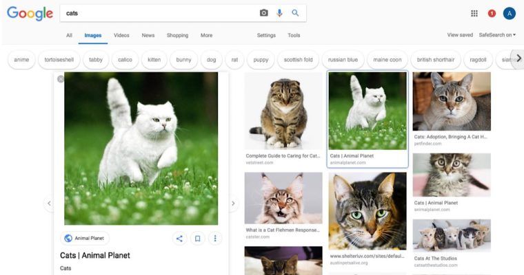 sejournal's tweet photo. Google was spotted testing a 🆕 design for image search results pages via @mattgsouthern.  https://t.co/ThZOAu8lc3 #SEO https://t.co/B89hfdB2Ge