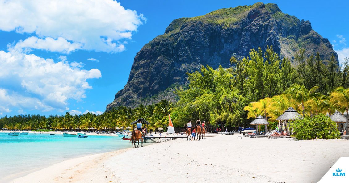 resaplanet's tweet photo. Faites le plein de sensations équestres sur la plage du Morne !
#Resaplanet #Resamaurice #îles #islands #océanidien #indianocean #vacances #holidays #vacation #wanderlust #sport #chevaux #équitation https://t.co/Q2BqMbcX1I