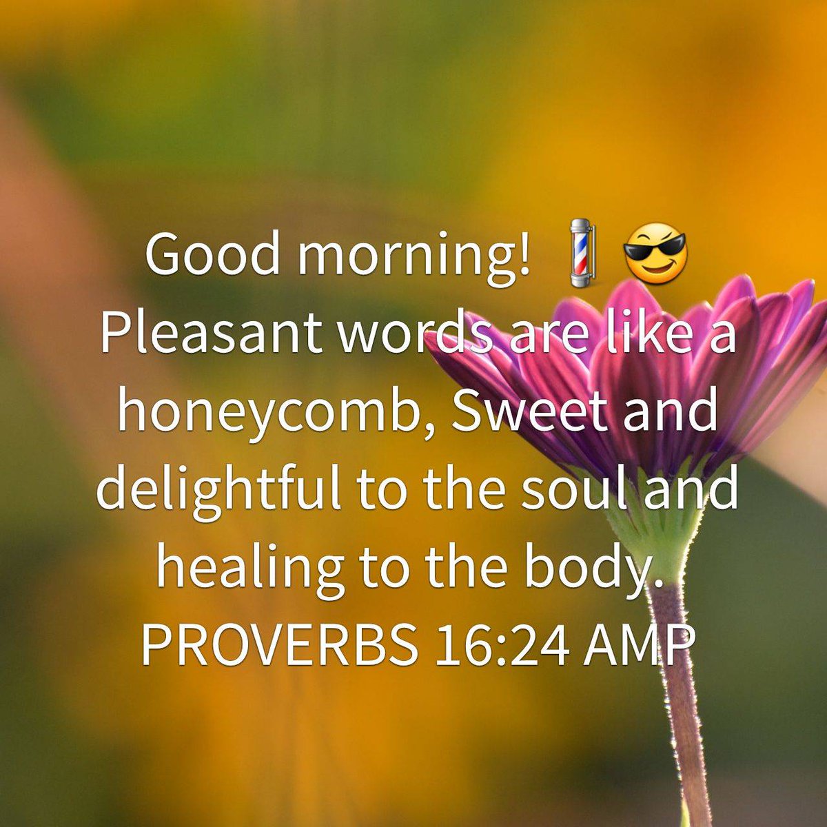 Traywv's tweet photo. Pleasant words are like a honeycomb, Sweet and delightful to the soul and healing to the body.
PROVERBS 16:24 AMP https://t.co/oVseq05AAK
