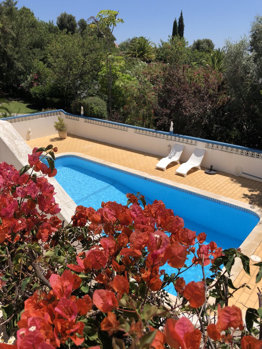 MudpieFridays's tweet photo. We have just arrived at the most beautiful villa I’ve ever seen! Looking forward to a relaxing week and making the most of our time with @jamesvillasuk #TheJamesWay #PressTrip #familytravelblogger @visitportugal #VillaLife https://t.co/eO7UM6hsfr