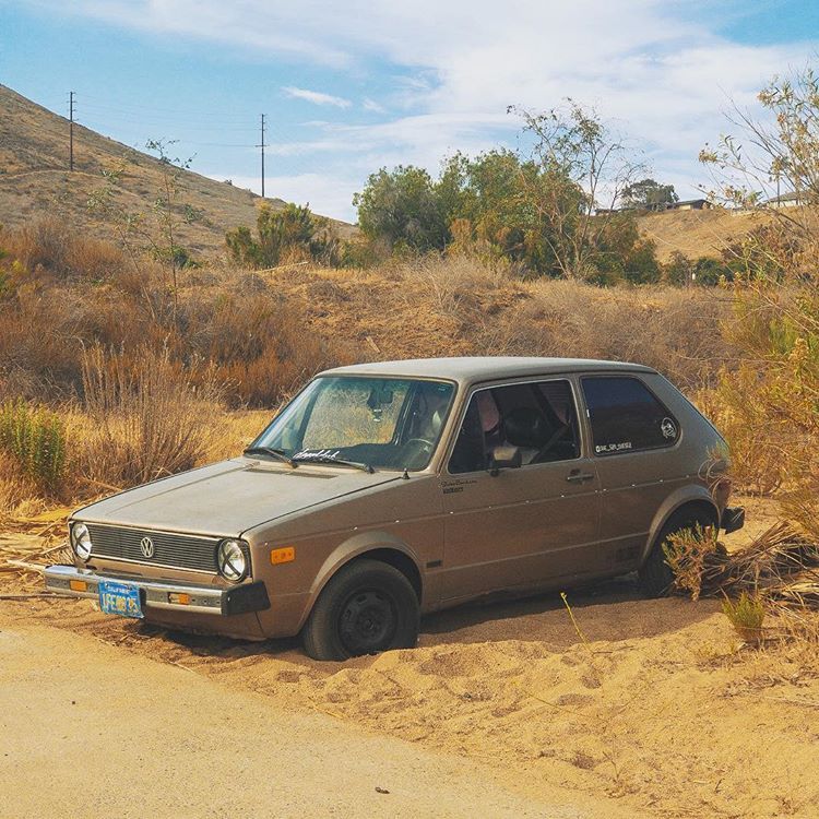 Stance Nation Rabbit