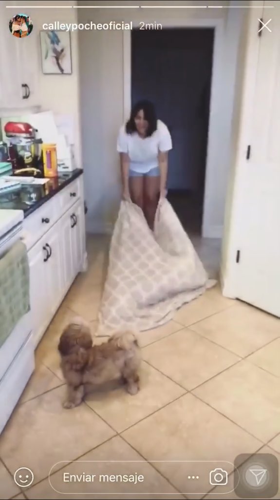 caritomorales6's tweet photo. Jajajaj acompáñenme a ver esta historia
Broke Mira a Calle
Luego mira a Poché
Mira al cielo diciendo porq están estas locas ?
Y decide irse jajajaja
#CacheBestMoments @calleypocheoffi @danielaacallee @Pochosaurus https://t.co/GvImGSHY9B