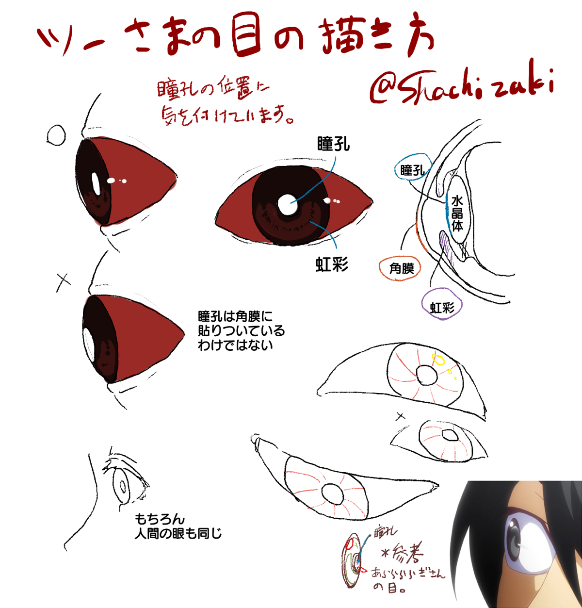 しゃち崎 ゼロツーのイラストを上げると 目の描き方が好きと仰って下さる方がいるので ツーさまの目を描く時個人的に気を付けていることを描いてみたんですけどこれ別にツーさまに限った話じゃないな T Co Diifmbypq1 Twitter