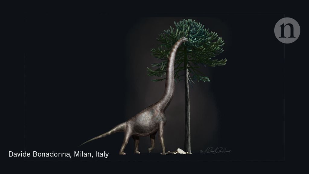 Advanced Analytical - A part of Agilent tweet media