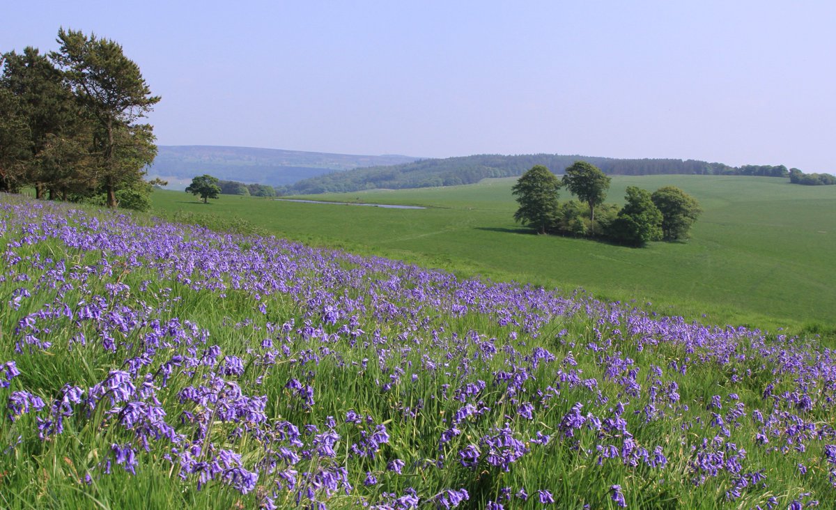 I mapped a fantastic Wild Walk around Chatsworth in the <a href="/peakdistrict/">Peak District National Park</a> for the August edition of <a href="/TGOMagazine/">The Great Outdoors</a> - get your copy here pocketmags.com/tgo-the-great-…