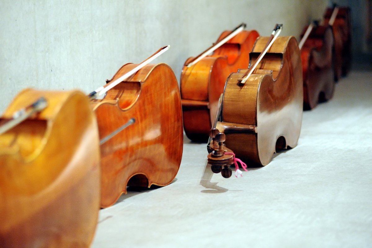 MuseumAlkmaar's tweet photo. Tip! Morgen om 14 uur #pop-up concert in foyer van @MuseumAlkmaar door muzikanten vanThe International Holland Music Sessions #music #talents #TIHMS https://t.co/pLUGhnW0W0