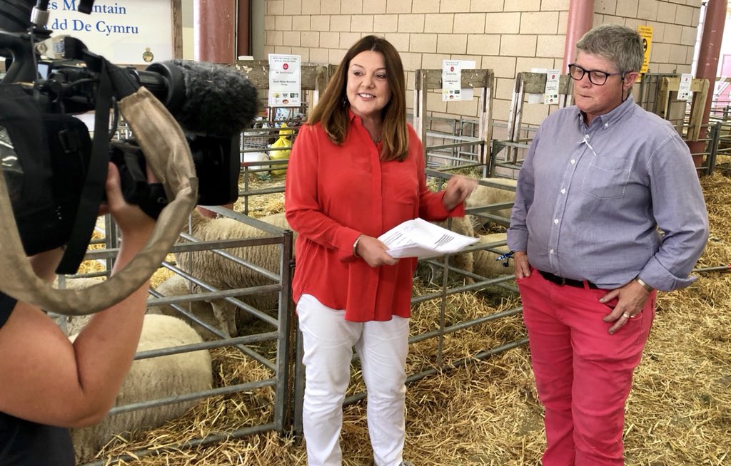 amit_nathwani's tweet photo. . @ITVCaroleGreen about to go live on @ITVWales from the sheep shed at the @royalwelshshow talking about Brexit ๐ #ITVRWS https://t.co/cOjZ06y9yB