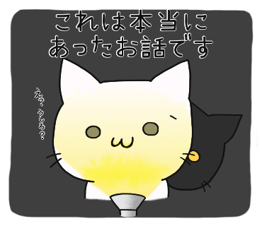 ぬこにゃんのtwitterイラスト検索結果 ぬこにゃんのtwitterイラスト検索結果