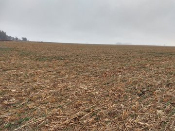 Ver imagen en Twitter