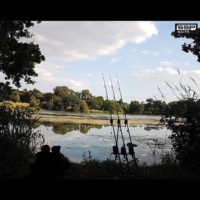 sspbaits's tweet photo. Sometimes just being there is enough... #TeamSSP
.
.
(π·: IFacebook Harry James)
.
.
"Good Things Come To Those That Bait!"
.
.
https://t.co/YAiov188WQ | #SightSmellPalate #SSPBaits #SystemX #MonsterX #SSPElements #AllSeasonSystemX #tw #WashedOutPopups #β¦ https://t.co/bXVxaBoK2Y https://t.co/kRMGNtYAYu