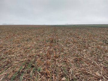 Ver imagen en Twitter