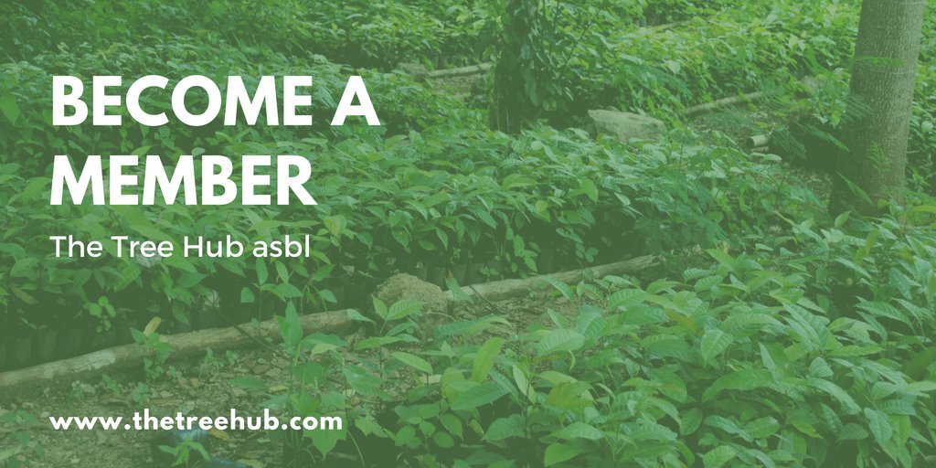 TheTreeHub's tweet image. 🌳 The Tree Hub is now a #nonprofit 🌳 Join us and become a member! bit.ly/treehubmembers 
#reforestation #sustainabledevelopment #trees #asbl