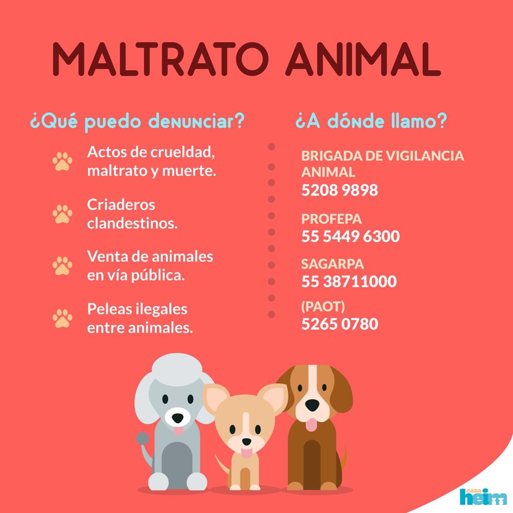 Rebecca de Alba tweet media