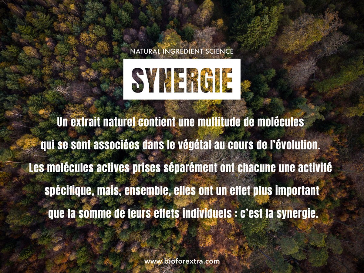 Science de l'ingredient naturel 🤓.
SYNERGIE : Un mot qui définit pleinement le concept Bio ForeXtra. 
Apprenez en plus à travers notre nouvel article : La synergie : de la forêt à l'extrait 👉 (bioforextra.com/la-synergie-de…)
#BioForeXtra #InpiredByTreeIntelligence  💚