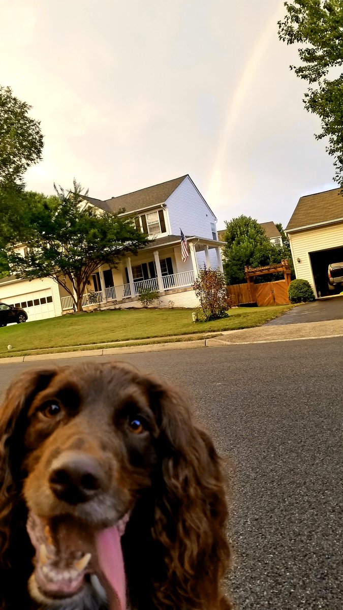 ShellyFranco05's tweet photo. @TheEllenShow Buddy's selfie this week https://t.co/gnGLLgUe7m