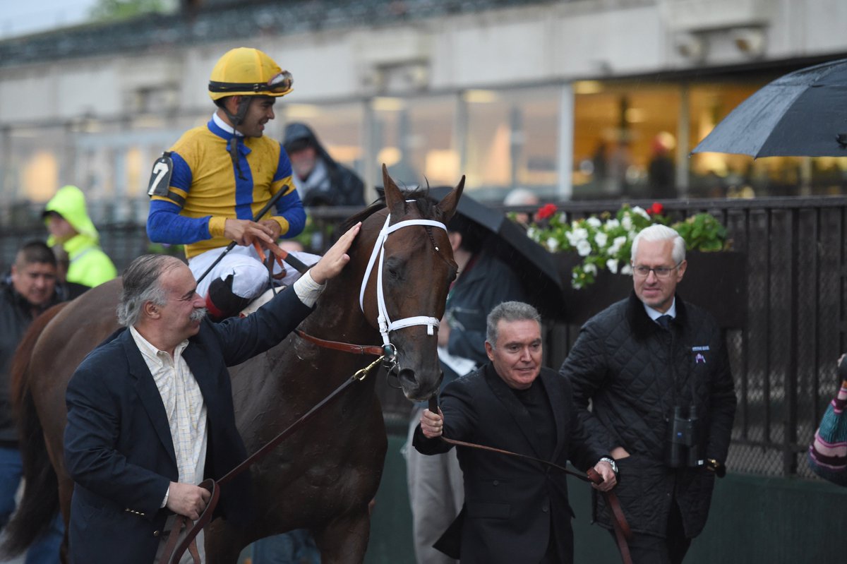 TurfDiario's tweet photo. #LaNotaEnTD #ElTurfEsTrabajo #HiHappy #Saratoga
En el Bowling Green Stakes, Hi Happy saldrá en busca de otro gran triunfo 
Hacé click en el enlace para acceder a la nota
https://t.co/L4tsnf8Ukg vía @TurfDiario https://t.co/jtwjiqv9Wf
