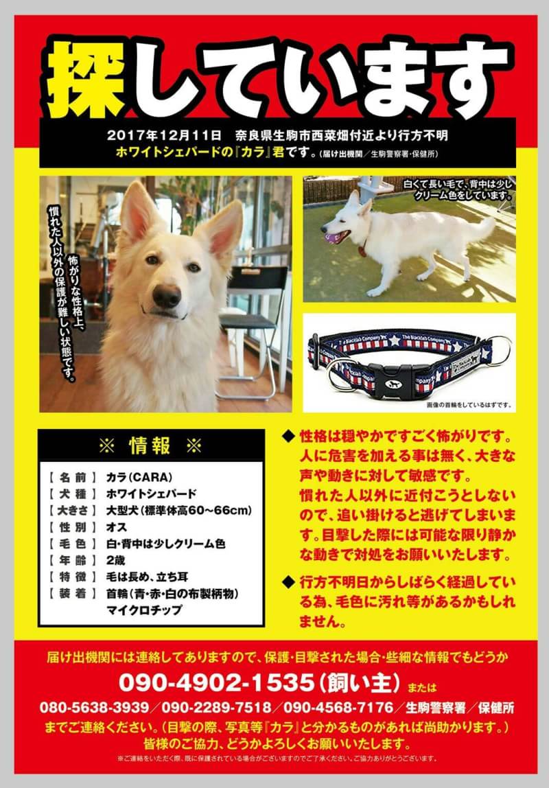 カラ君目撃情報 على تويتر 皆様のお力をお貸し下さい 似た犬を見た方 保護した方 どんな些細な事でも構いません 迷い犬目撃 迷子犬 掲示板 ツイッター などに情報提供の御協力を宜しくお願い致します 迷い犬 迷子犬 白い犬 大きい犬 見た 見ました カラ君目撃情報 على تويتر 皆様のお力をお貸し下さい 似た犬を見た方 保護した方 どんな些細な事でも構いません 迷い犬目撃 迷子犬 掲示板 ツイッター などに情報提供の御協力を宜しくお願い致します 迷い犬 迷子犬 白い犬 大きい犬 見た 見ました