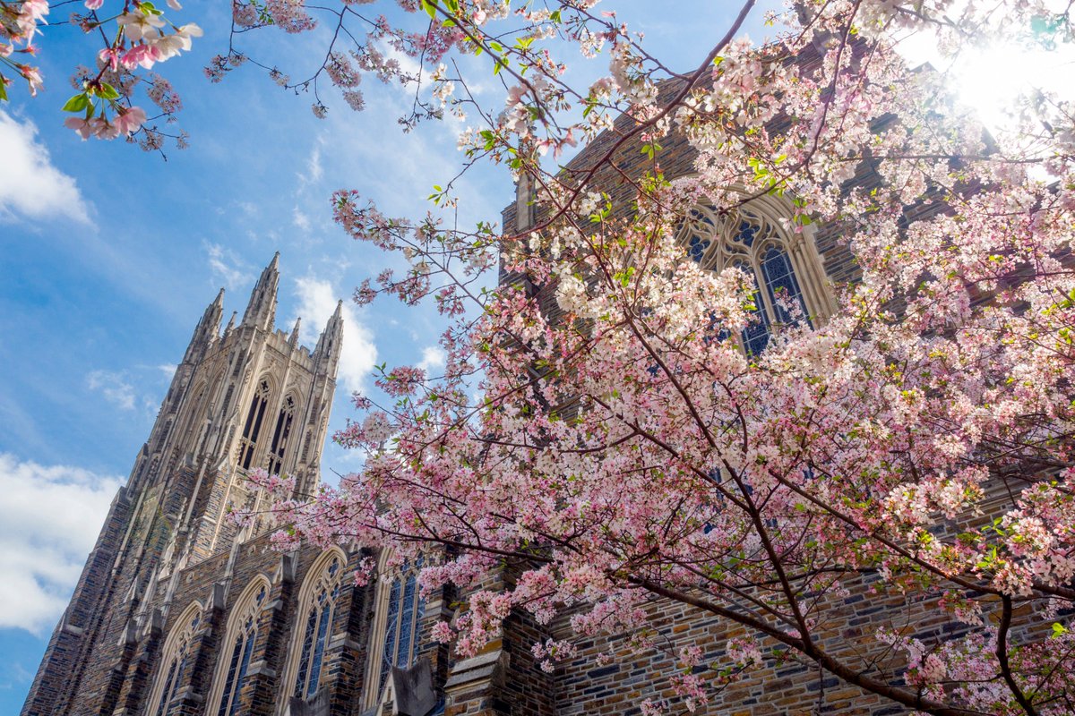 DurhamNC's tweet photo. Forbes named @DukeU one of the "Best Employers for Women" in its first list of this kind 👩🏾‍🔬👩🏻‍💼🙌 https://t.co/ISRpZUFoyp https://t.co/cgJ1aNLYHk