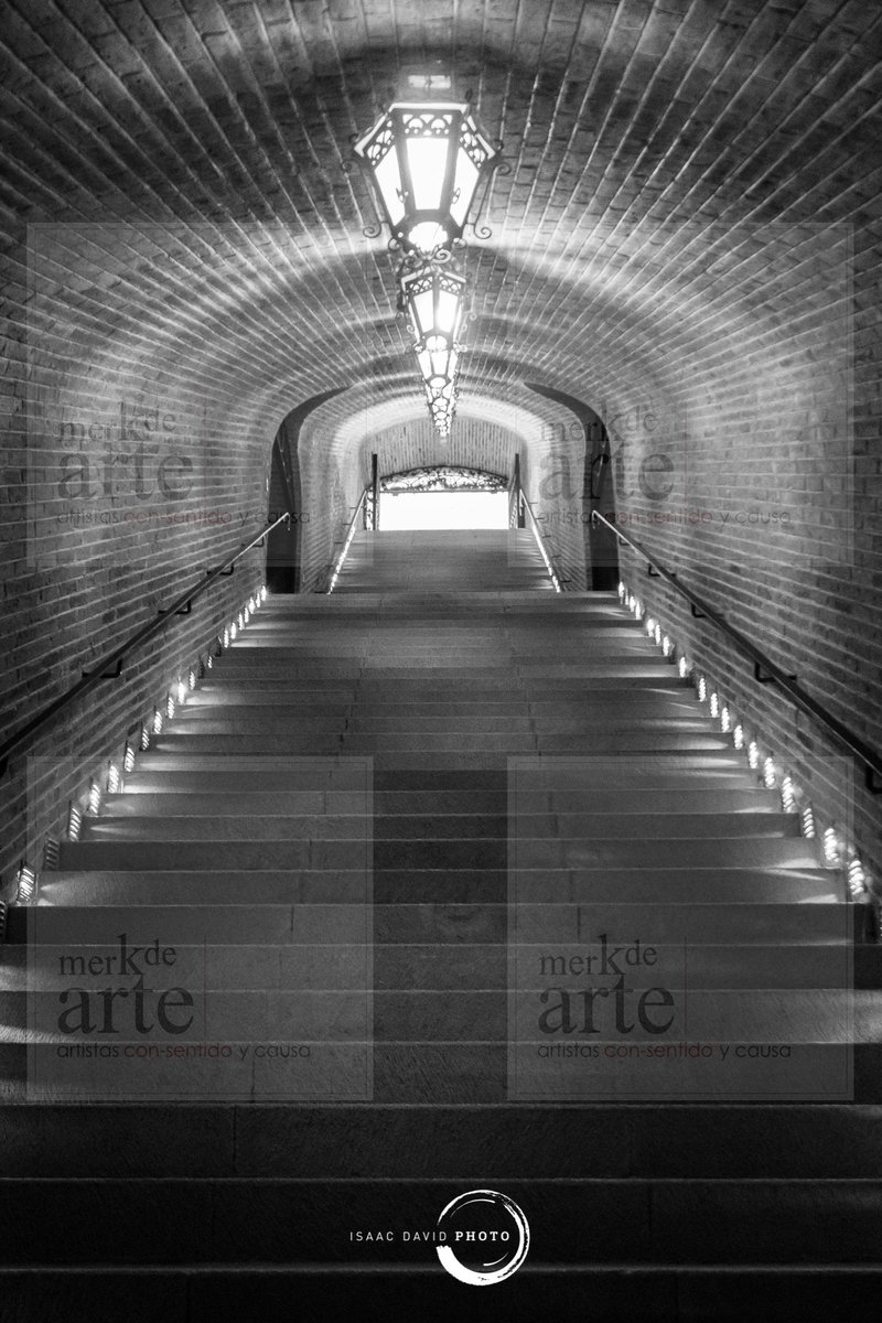 MerkdeArte's tweet photo. Conoce a David Hernandez Barrientos Isaac David Photo @isaacdavidphoto, una gran artista. 
Sus obras se encuentran en exhibición y a la venta en la galería de #Merkdearte

Sitio web: https://t.co/sLgKBBeckt

#FelizJueves #CDMX #Fotografo #Artista #Mexicano #EsteFinSeguroYo https://t.co/T3NvfHygok