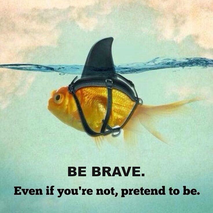 HTMSharks's tweet photo. It's the long-awaited Lollipop Meet tonight at the @HMSRC pool, starting at 6pm! Calling all 8&amp;Unders and Mini Sharks to be brave and swim well! Good luck! https://t.co/RAYEXn7Fsq