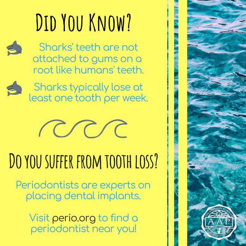 PerioNews's tweet photo. Happy #SharkWeek! https://t.co/DuJVdcbMDs