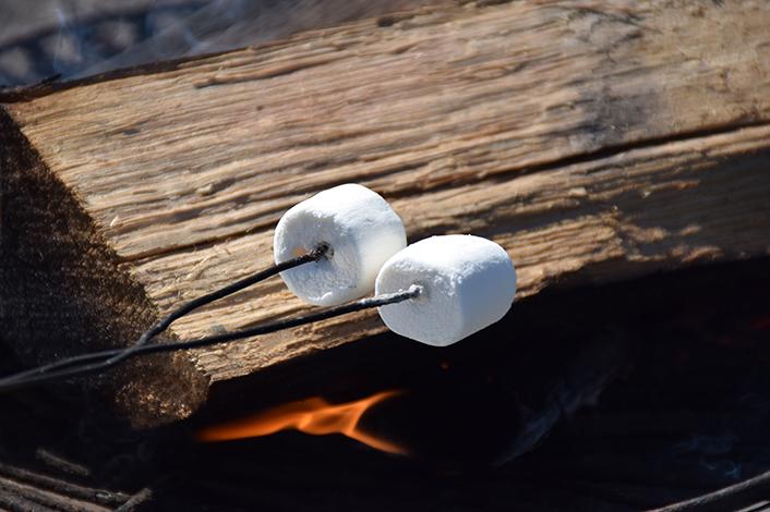 Raystown Lake PA tweet media