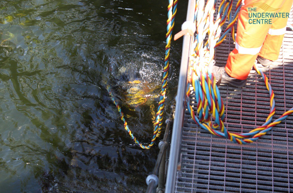 Some of our new trainee #commercialdiver students completed standby rescue dives in Loch Linnhe today as part of their second week of training
.
Find out more about what we do here ➡️ theunderwatercentre.com/fort-william/d…