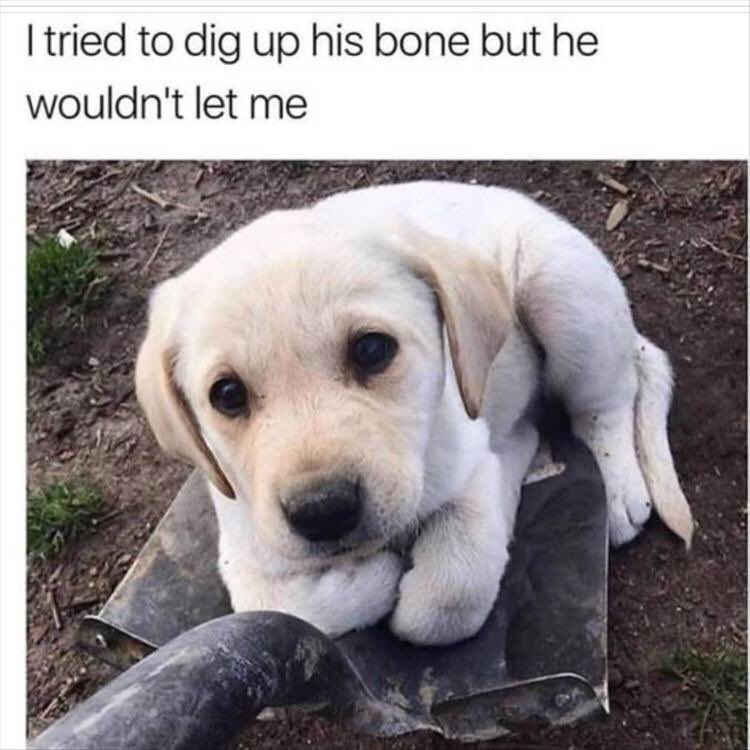 Me no share
