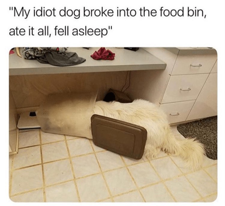 Silly