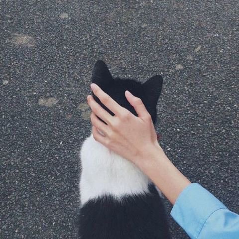 beautiful_hand1's tweet photo. 중국 배우 왕카이
손에 65억 보험 들으셨답니다 https://t.co/COnOCZGnP2