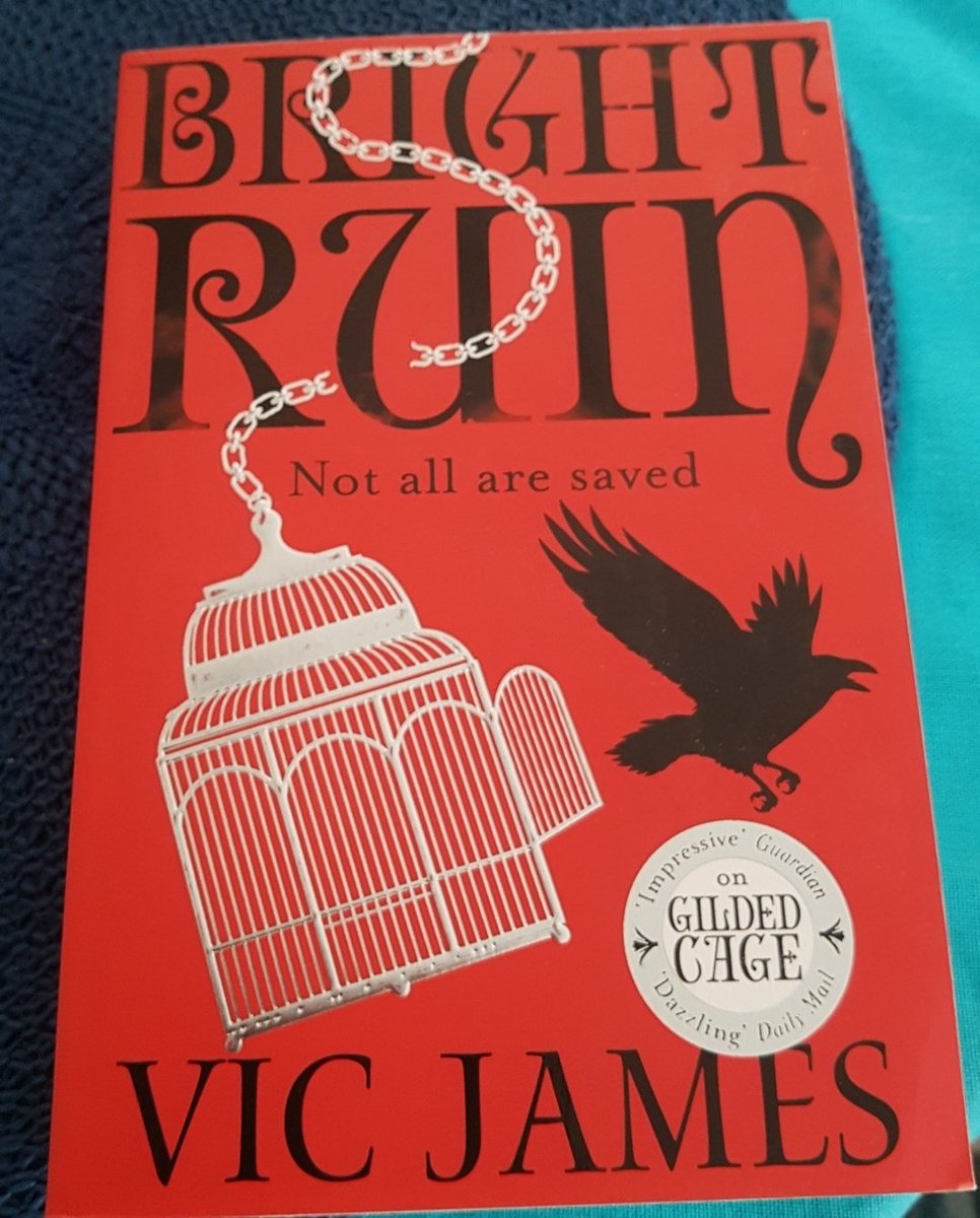 Endalia's tweet photo. It's finally here! #BrightRuin #dontkillmyfave @DrVictoriaJames https://t.co/NF3jF39VMf