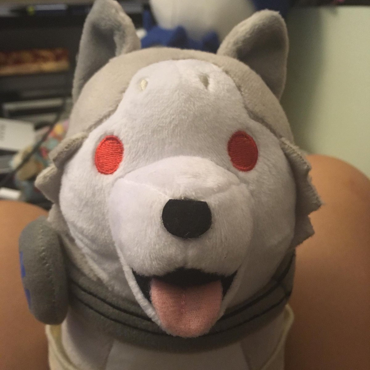 ᴋᴏʀᴏᴍᴀʀᴜ (@albinoshibainu) on Twitter photo 