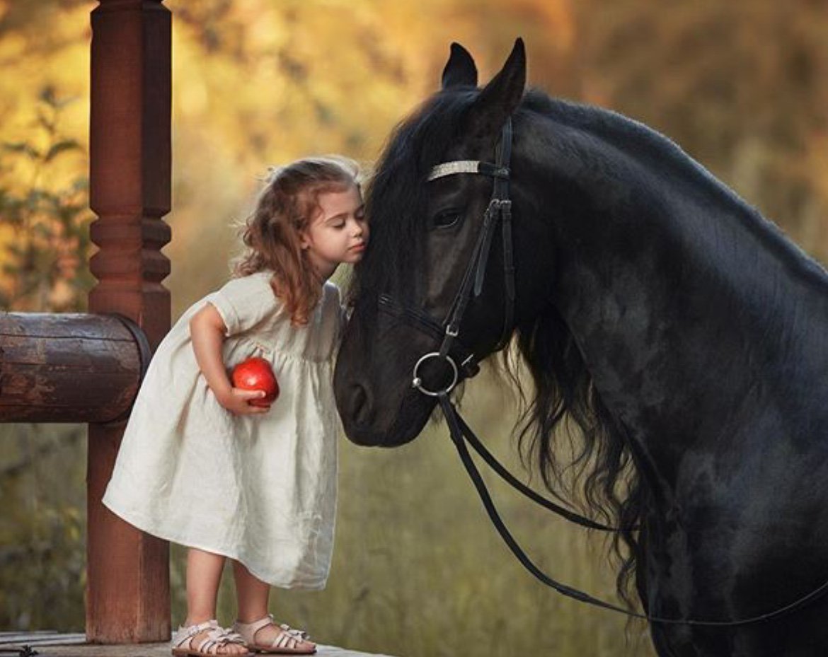 Love is the secret password to every soul.

A Douglas Williams 
Pic Olga Sokolova
