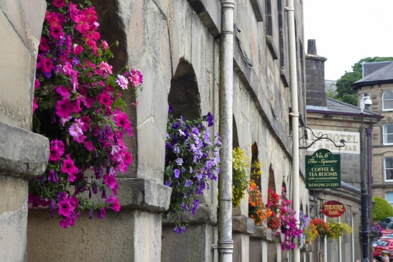 VisitBuxton's tweet photo. Buxton is in bloom! and all the colours of the rainbow. 🌻🌺🌸🌼🌈❤️🧡💛💚💙💜💖

Look out for those flowerpots!

#BuxtonInBloom #BritainInBloom #InBloom #Buxton #BuxtonJuly #Buxton2018 #FlowerpotPeople #BuxtonFlowerpots https://t.co/hk54XQXEXt