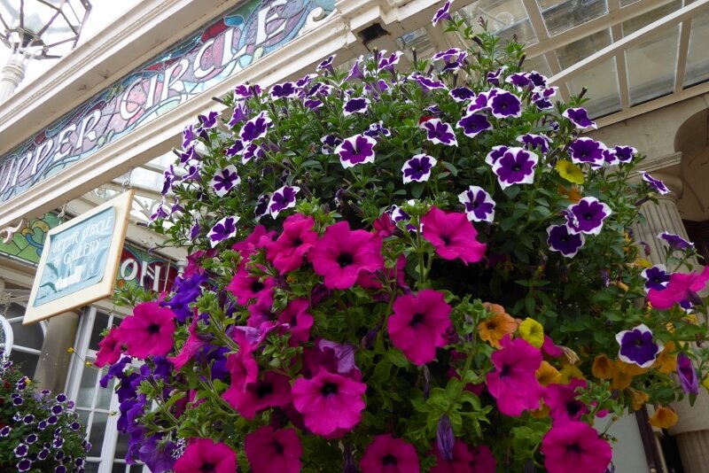 VisitBuxton's tweet photo. Buxton is in bloom! and all the colours of the rainbow. 🌻🌺🌸🌼🌈❤️🧡💛💚💙💜💖

Look out for those flowerpots!

#BuxtonInBloom #BritainInBloom #InBloom #Buxton #BuxtonJuly #Buxton2018 #FlowerpotPeople #BuxtonFlowerpots https://t.co/hk54XQXEXt