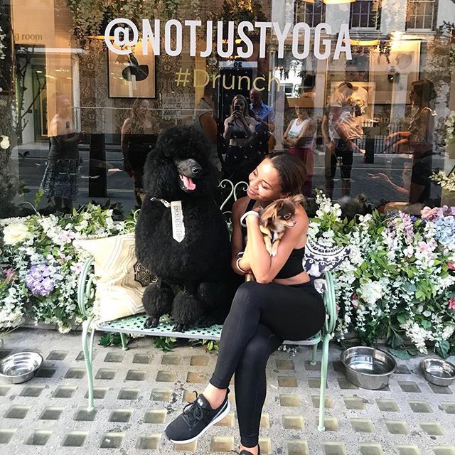 When my child @this_g_chi hosts his first event @drunch with @notjustyogalondon all in aid of @official_rspca with a little help from @furzaid and @vervelondon - and how cool is Sebastian, he’s one well groomed pooch! #drunch #doggyteaparty #crazydoglady ift.tt/2uR3uv9