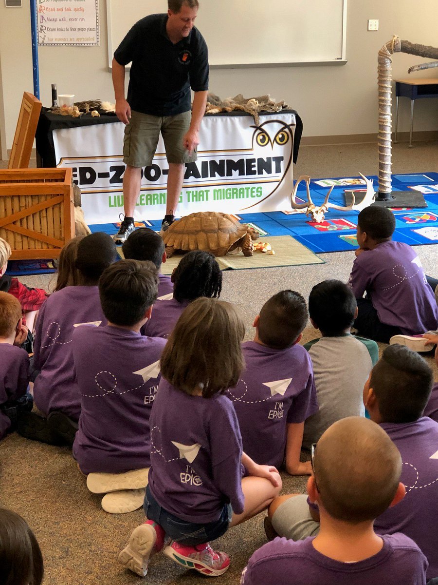 UI_EDU's tweet photo. .@karalew15, Regional Educational Consultant, sent in photos of EPIC campers enjoying their time learning about animals from various continents. It is a pleasure seeing students engaged in the classroom, even over the summer! #EdChat #K12 #ThursdayThoughts #PCGEducation https://t.co/LGY0G6OUAh
