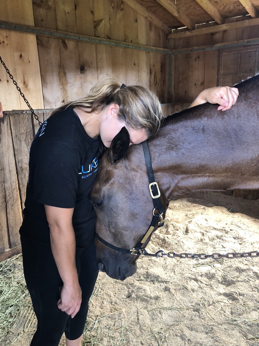 #horseandtrainerconnection @Johanssonstable and Kissininthesand #sleepingonthejob