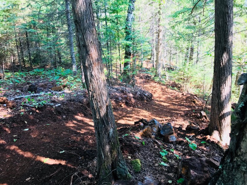 BlacksheepMTB's tweet photo. Blacksheep Trail Build Saturday June 28! - https://t.co/v6NIKuQWkI https://t.co/oRX0vzLtYo