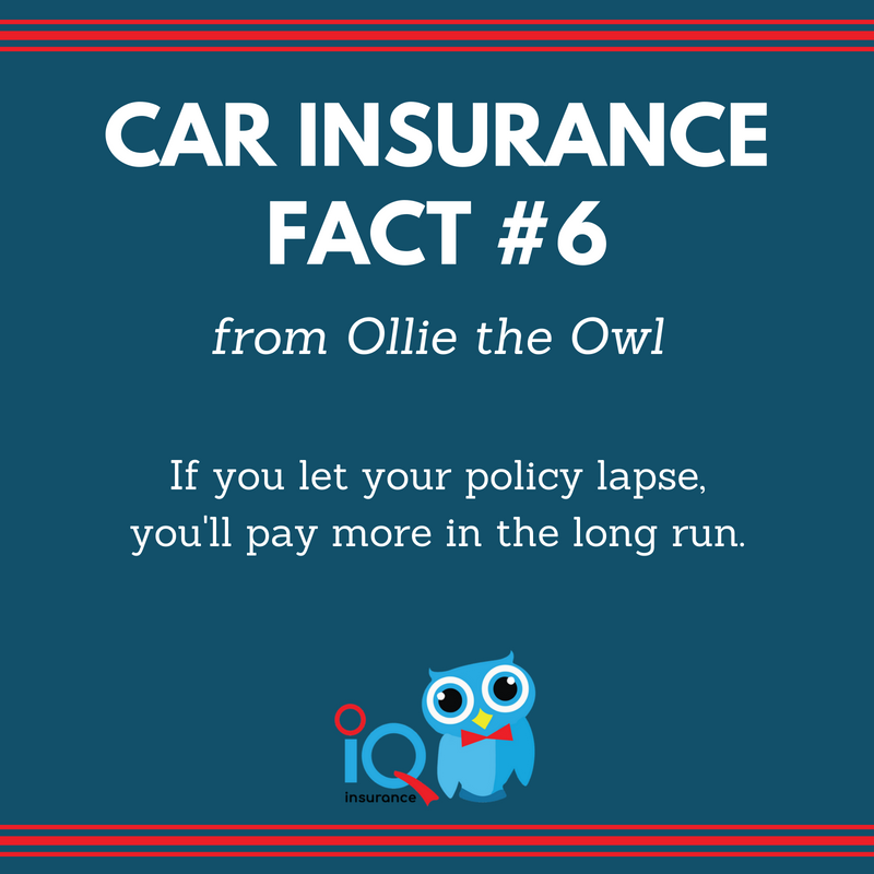 IQInsuranceGa's tweet photo. If you let your policy lapse, you'll probably pay more when you go to buy car insurance. Be sure that doesn't happen by contacting one of our agents today! #IQInsurance #CarInsurance https://t.co/rTXoVUAGf4