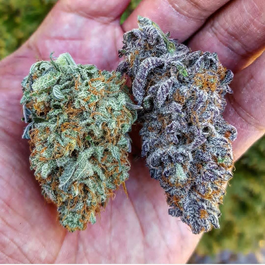 Left or right?