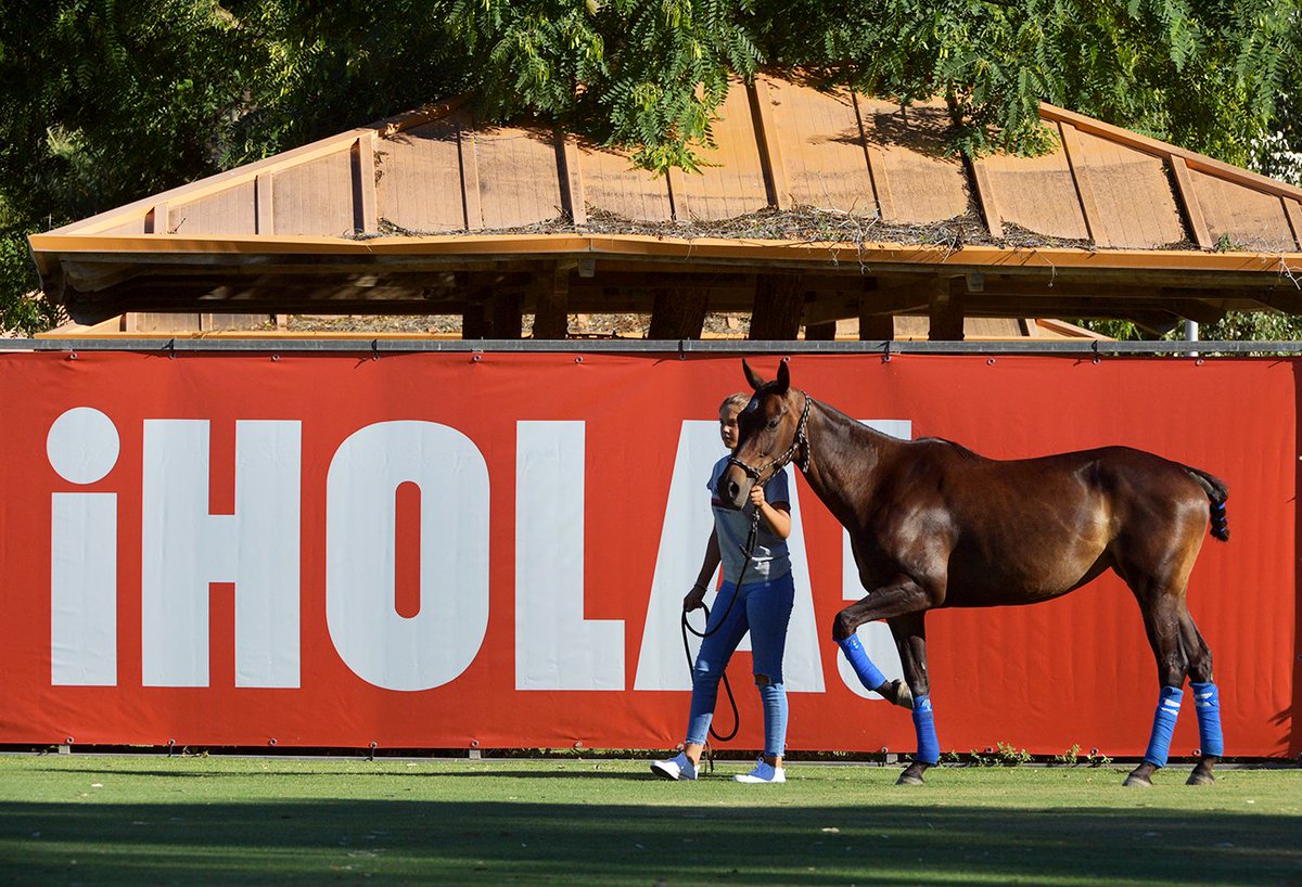 torneointerpolo's tweet photo. #torneointerpolo 

🇪🇦️ Algunas imágenes del partido inaugural de ayer. Mañana comienza  la copa de bronce @EstrellaDammEs 

 🇬🇧Some images from yesterday´s match. Tomorrow begins the @EstrellaDammEs Bronze Cup.

#masquepolo Photos by #snoopypolo https://t.co/OJB7uI3VYR