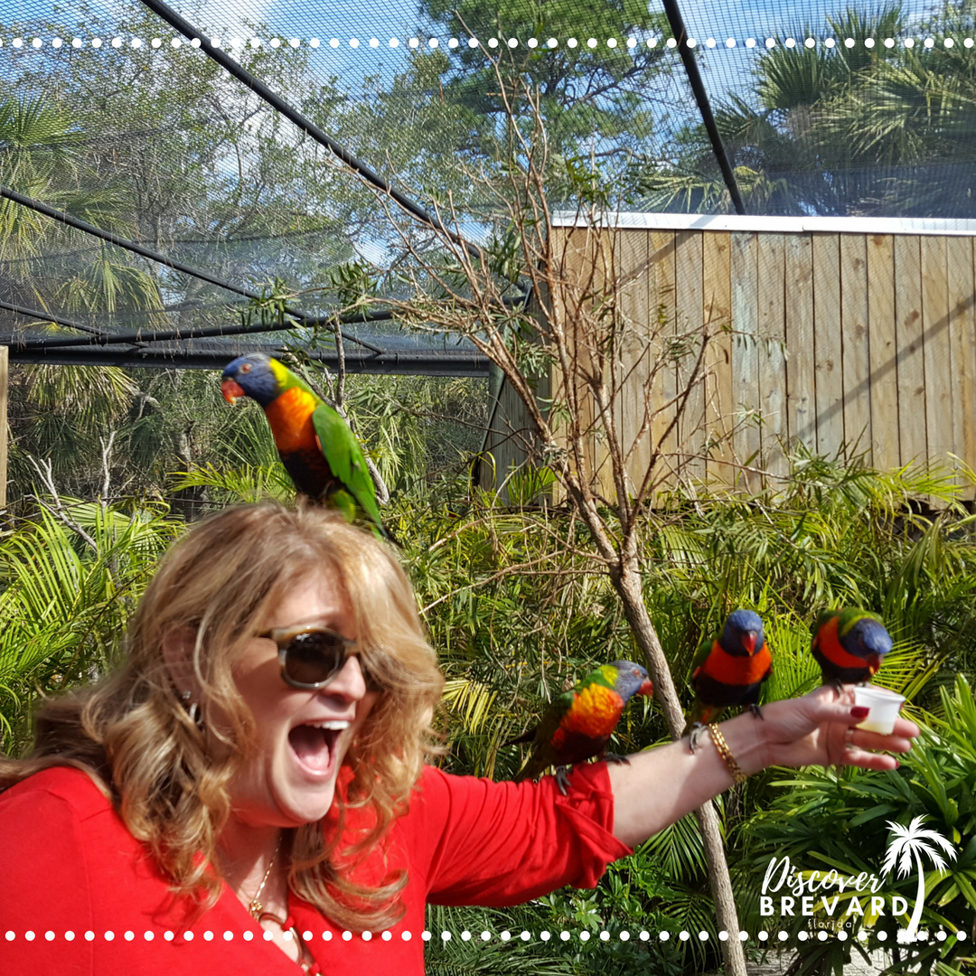 YourBrevardFL's tweet photo. If you love birds, head on over to the #brevardzoo 🐦
#discoverbrevardfl https://t.co/TCgPQhOxMO