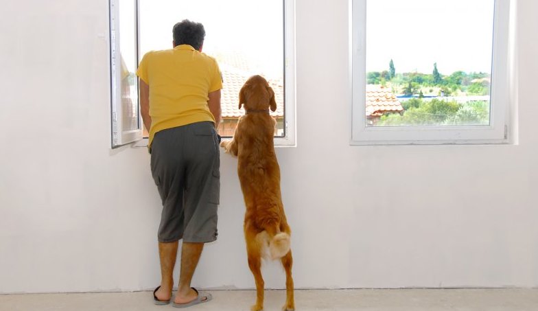 ProFinanceBlog's tweet image. These are the Best and Worst States to Buy a Home dlvr.it/QctfsV