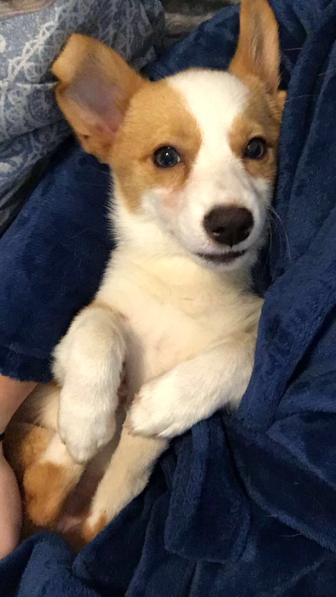 Jodi Prouty tweet media