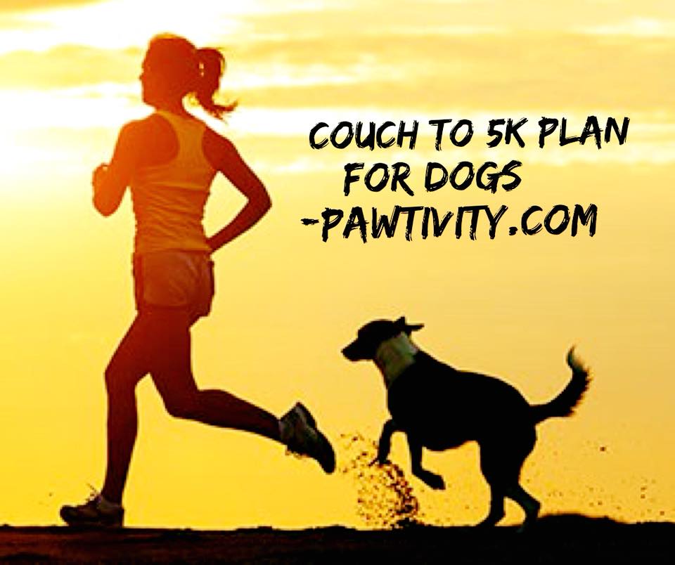 Pawtivity's tweet photo. It’s time to start training for a Doggy 5K!!
https://t.co/VQvWMhNPNc
#runningwithdogs #canicrossdog #mountainrunning #dogswhorun #runningwithdogs #doggy5k https://t.co/XZcNkLRzPz