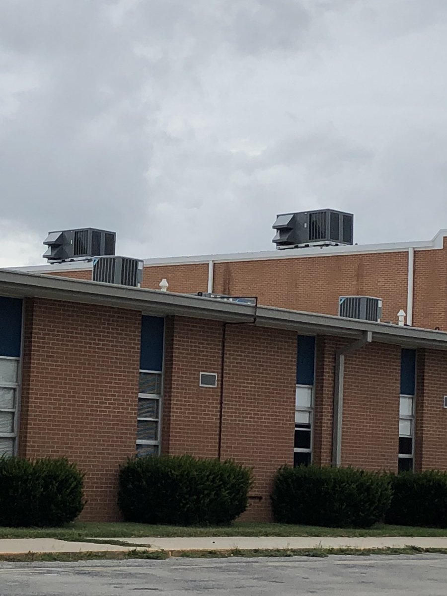 David Steward tweet media