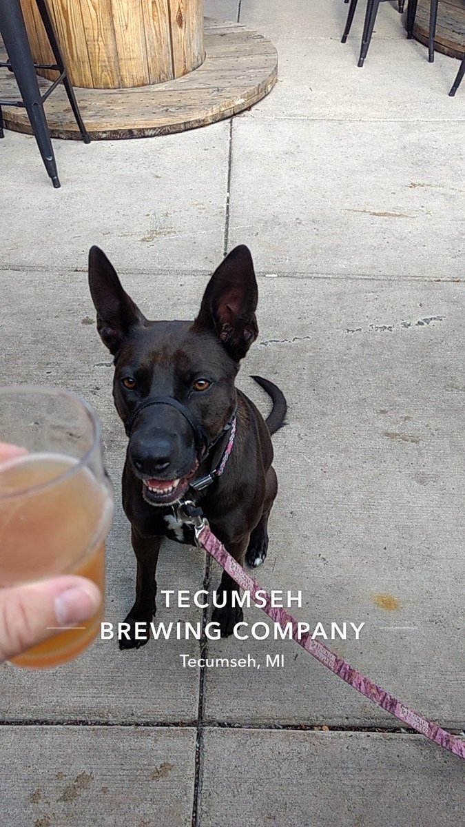 BellaMac22m's tweet photo. Since I didn't get to go to @EldoraSpeedway, and no races thanks to rain last weekend, the car was ready so I took @DannyMac22m and @Mrs22m out for a drink after a #ruffday. Can't wait for raceday tomorrow @atticaracewyprk, and @FremontSpeedway Saturday! #racedog https://t.co/pPImzei0XX